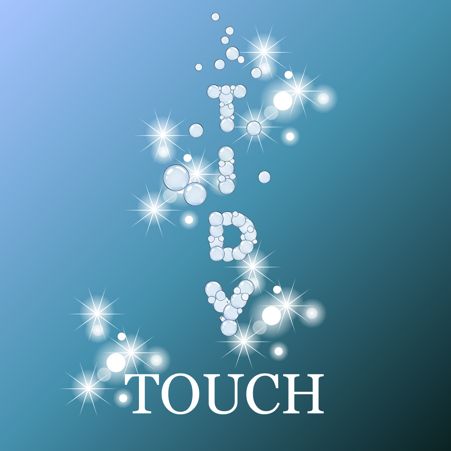 Tidy Touch Logo